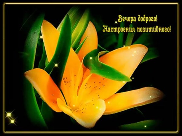 Позитивные пожелания доброго вечера