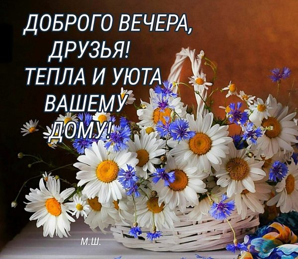 Хорошего вечера котики