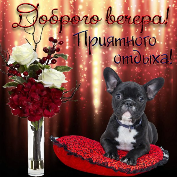 Добрые пожелания
