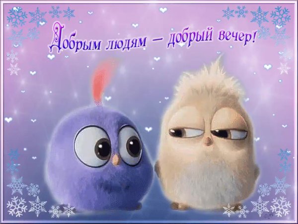 Чудесного вечера