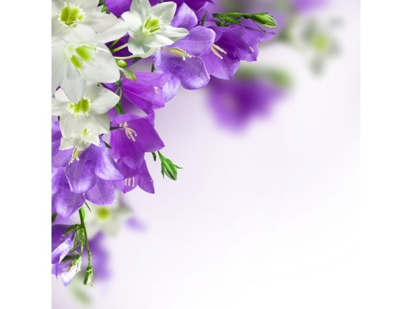 Доброе утро Божьих благословений