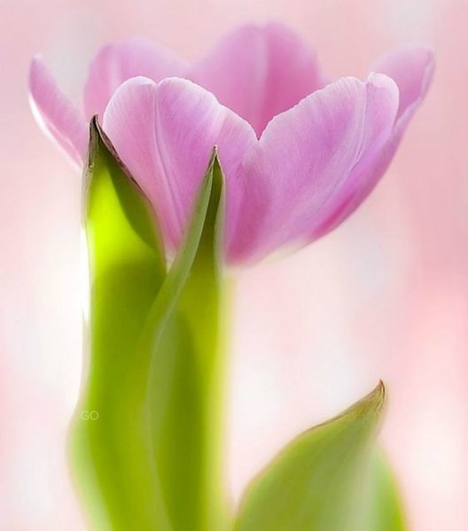 Мудрые пожелания на день грядущий