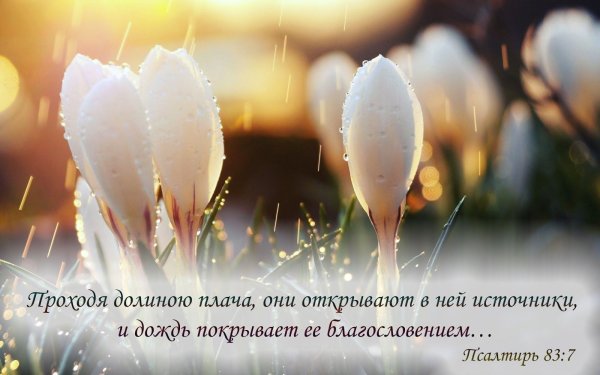 Благословения на каждый день