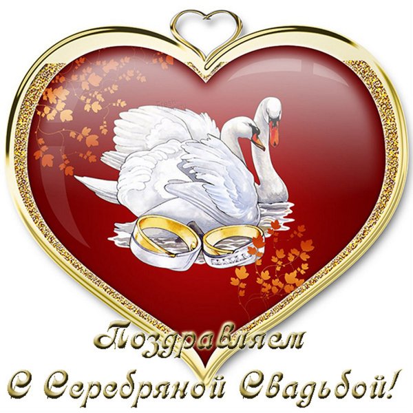 Серебряная свадьба
