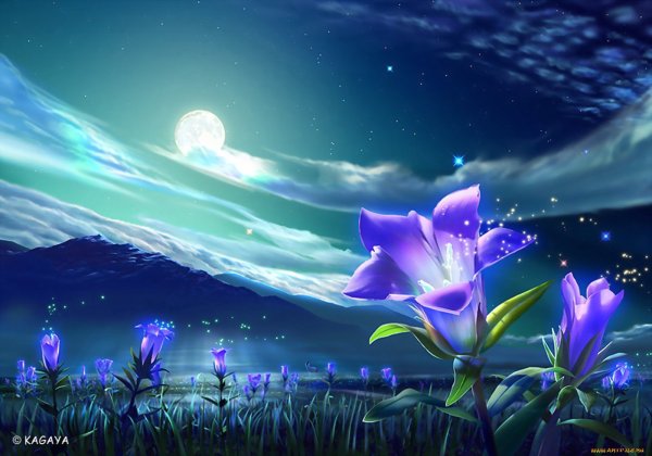 Кагая Ютака. Звезды