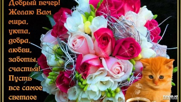 Открытки с пожеланием доброго вечера