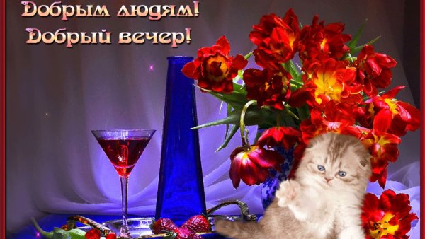 Приятного вечера и отличного настроения