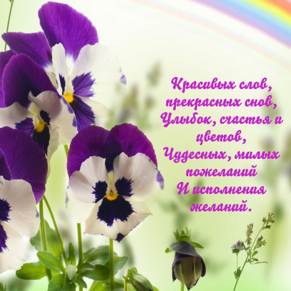 Цветы для Анютки