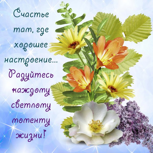 Поздравления на каждый день