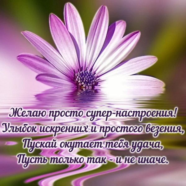 Красивые поздравления на каждый день