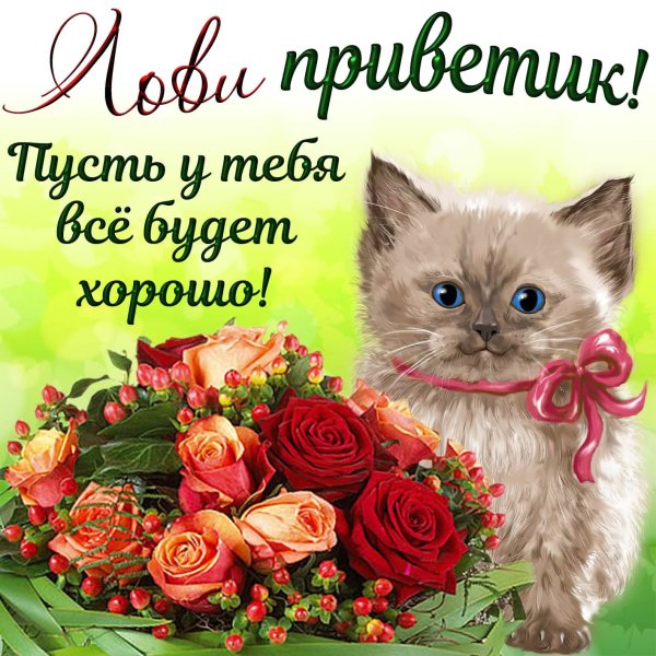 С добрым приветом и пожеланиями