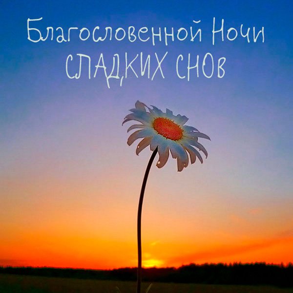 Доброй ночи летом