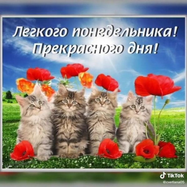 Легкого понедельника