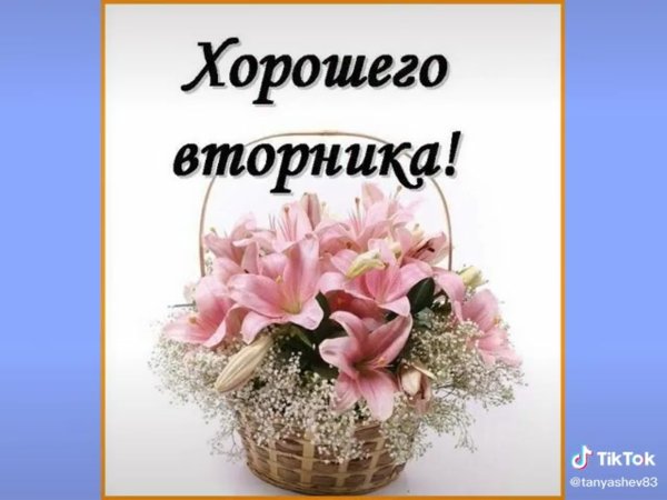 Поздравления со вторником