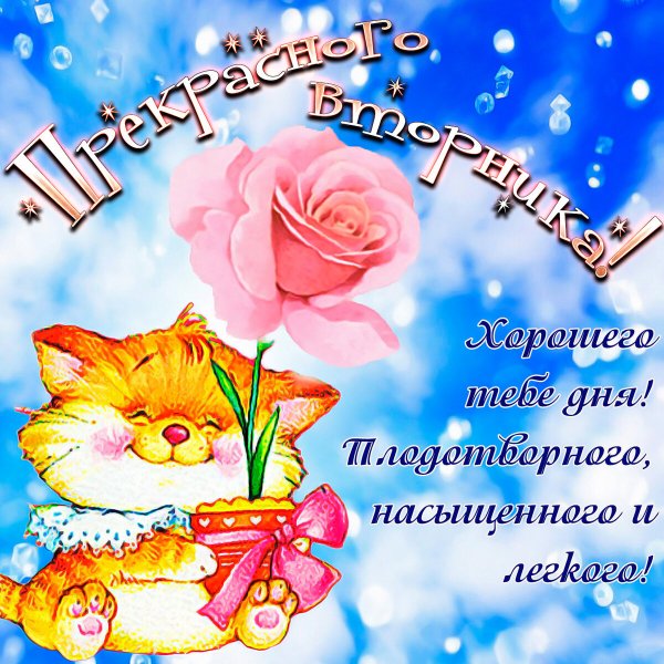 Поздравления на каждый день
