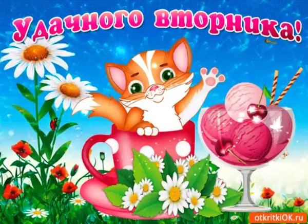 Веселого вторника открытки