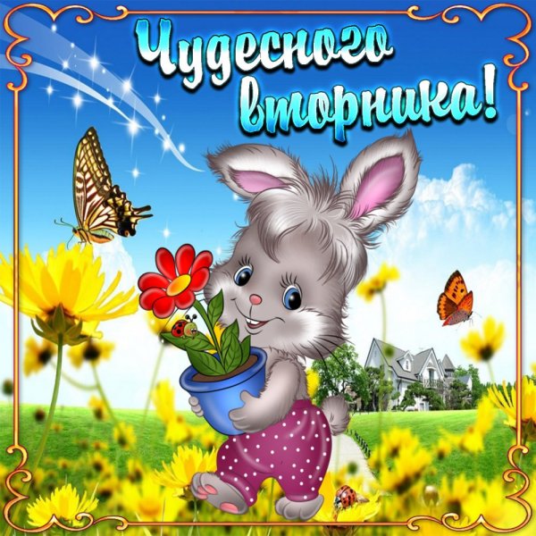 Хорошего вторника