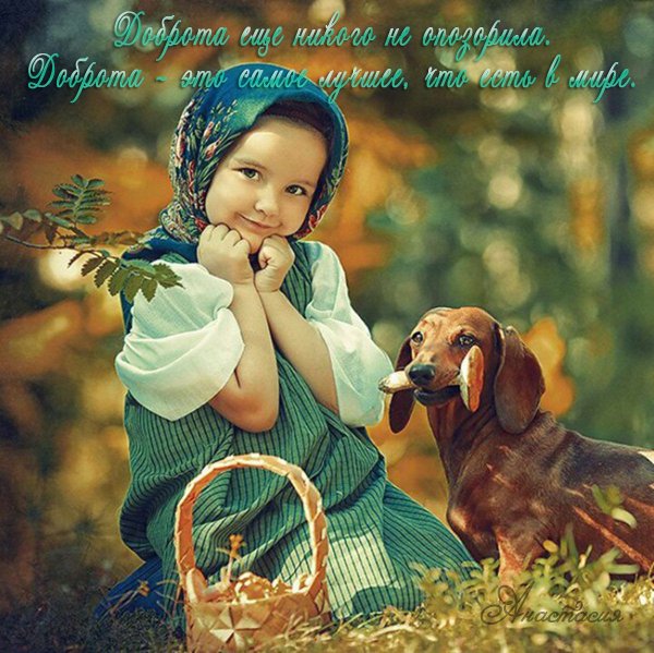 Наталья Законова фотограф