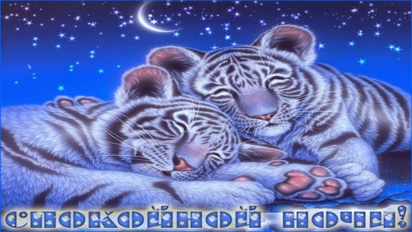 Пожелания спокойной ночи