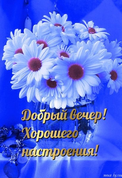 С новым днем