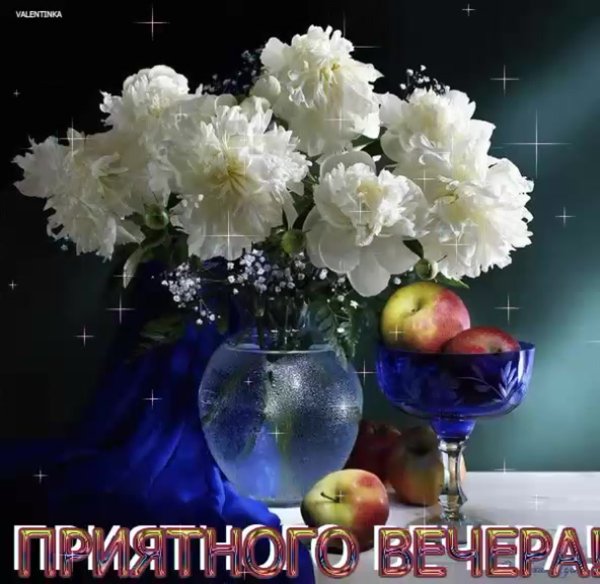 Доброго вечерочка цветы
