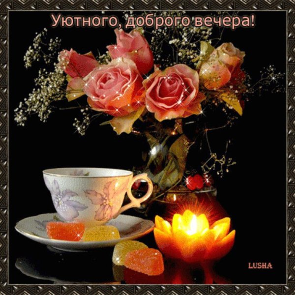 Доброго уютного вечера с розой