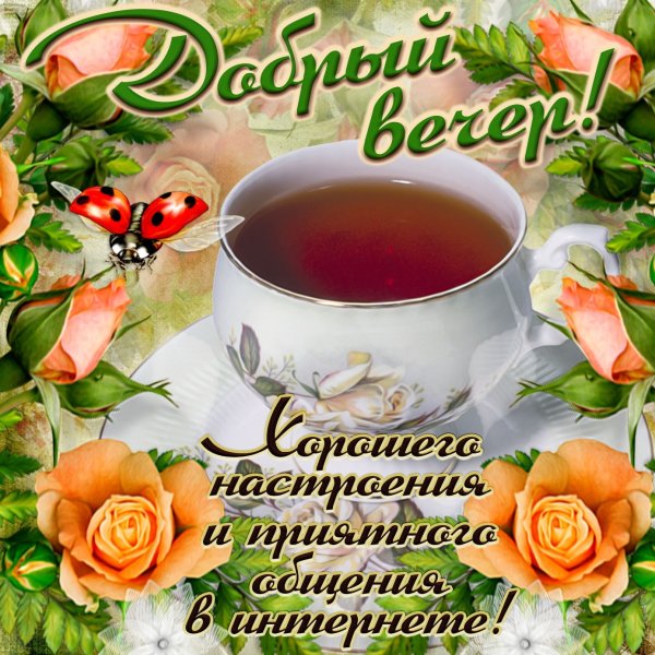 Чудесного вечера