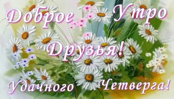 С добрым летним утром четверга