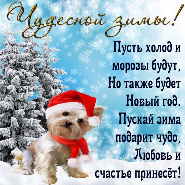 Красивые зимние поздравления