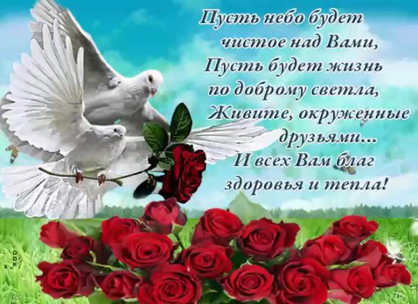 Пожелания мирного неба и добра