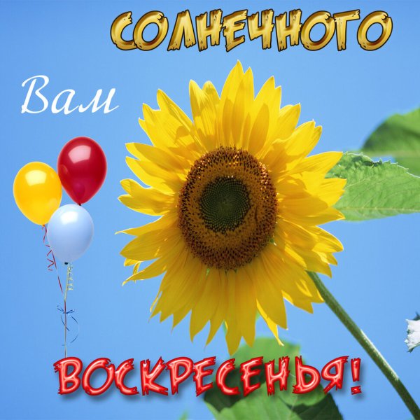 Открытки хорошего воскресенья