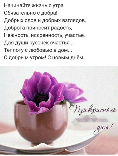 Красивые высказывания с добрым утром