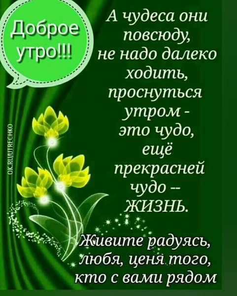 Отличного дня