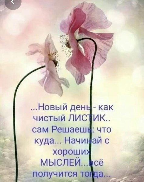 Мудрые мысли про утро
