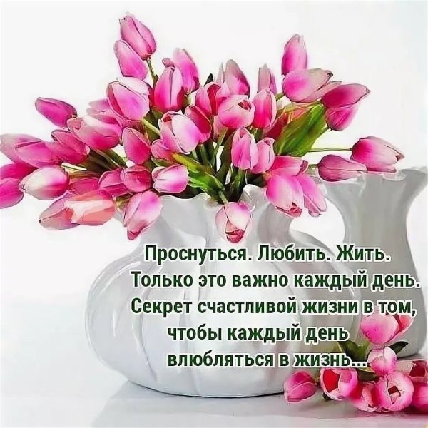 Пожелания хорошего дня и здоровья