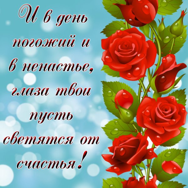 Живые открытки с пожеланиями