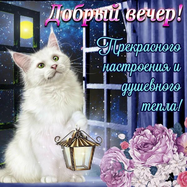 Поздравление с добрым вечером