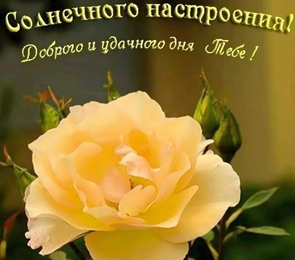 Удачного дня и хорошего настроения