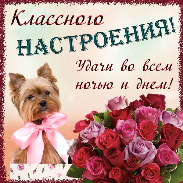 Открытка "хорошего настроения"