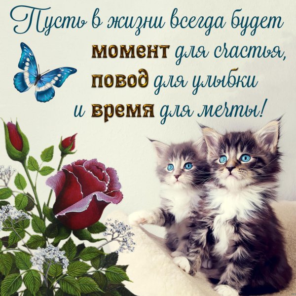 С воскресеньем друзья