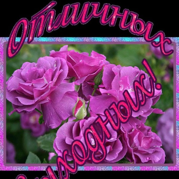 Приятных выходных