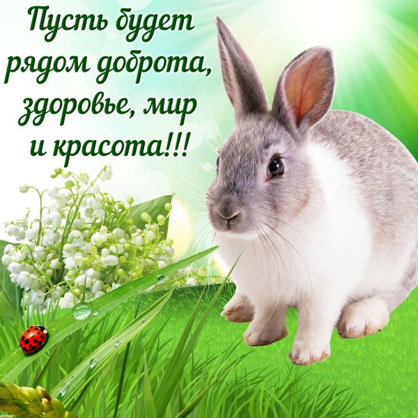Красивые открытки