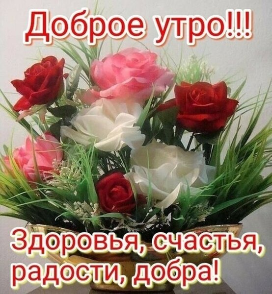 Доброе утро здоровья