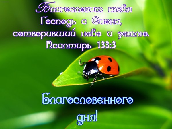 Открытки благословенного четверга