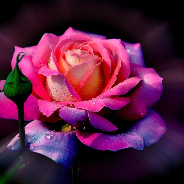 С благословенной пятницей вас