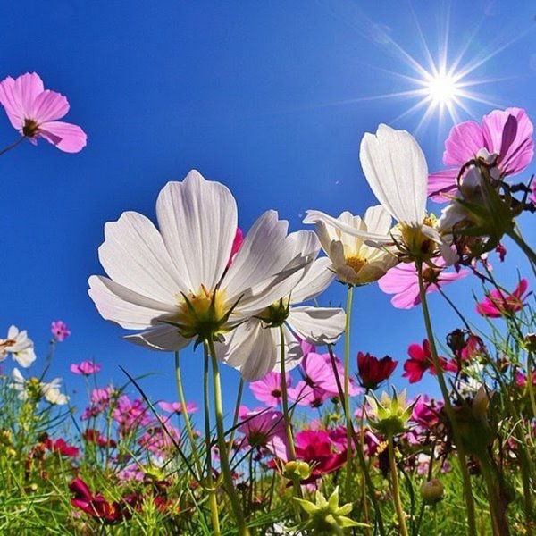 Сохраним природу Ставрополья