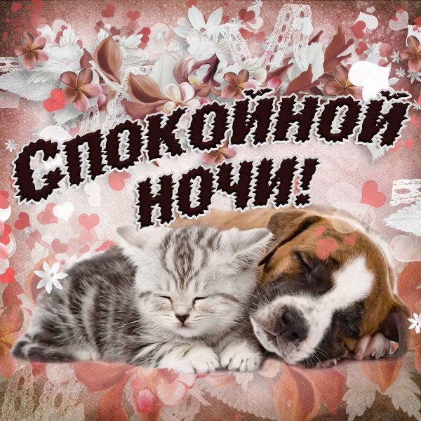 Пожелания спокойной ночи
