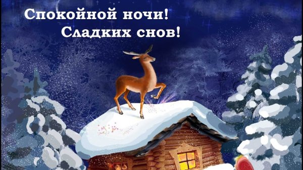 Сладких снов Ежик