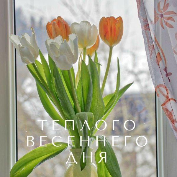 Доброе Весеннее утро