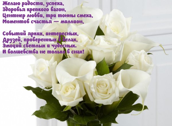 Белые розы с пожеланиями